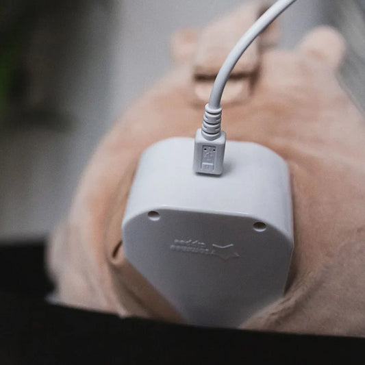 Tommee Tippee Bennie The Bear