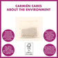 Carmien Tea Kiddies Berry Boost (20 Teabags)