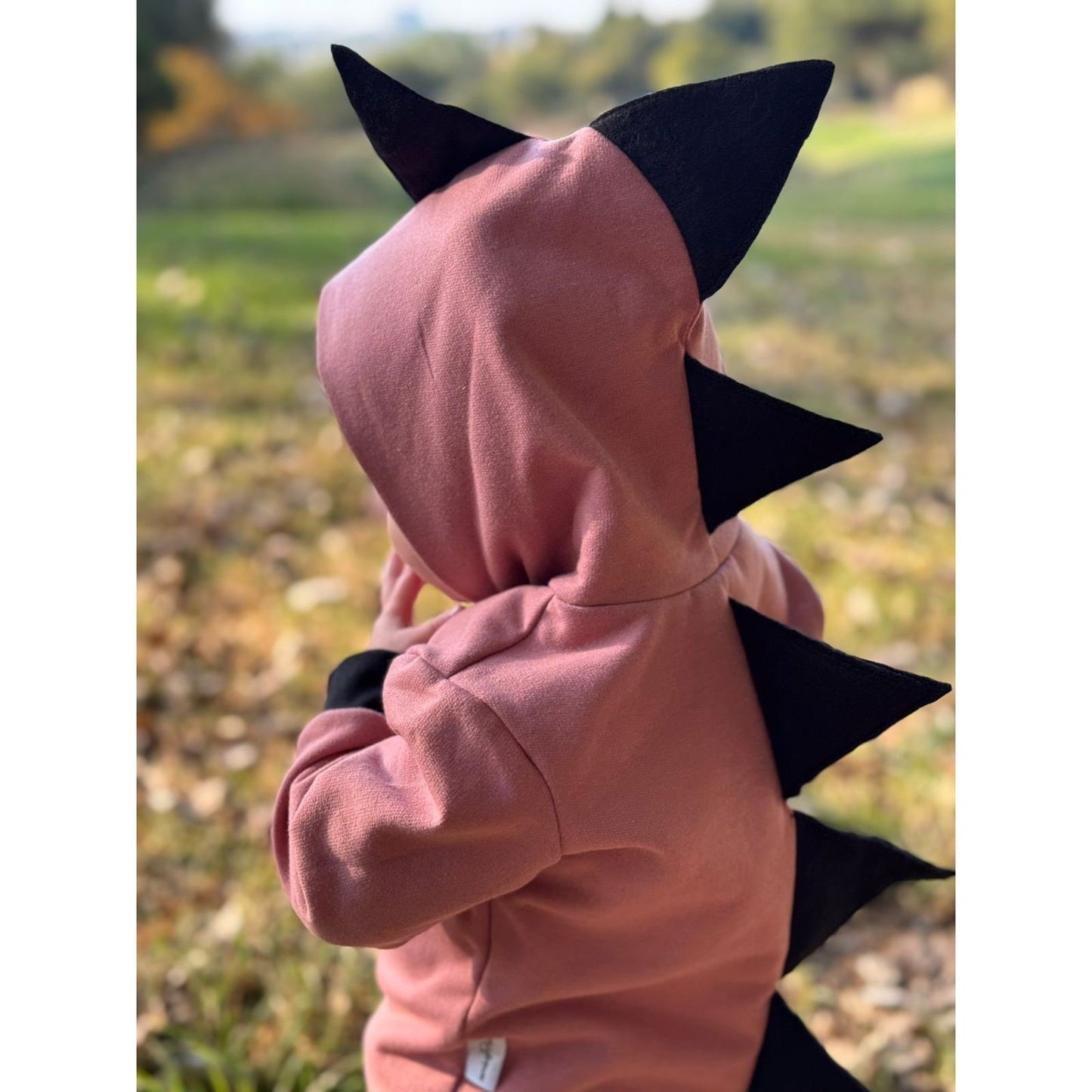 MonkeyBum Dino Hoodies 6m to 6 years Pink