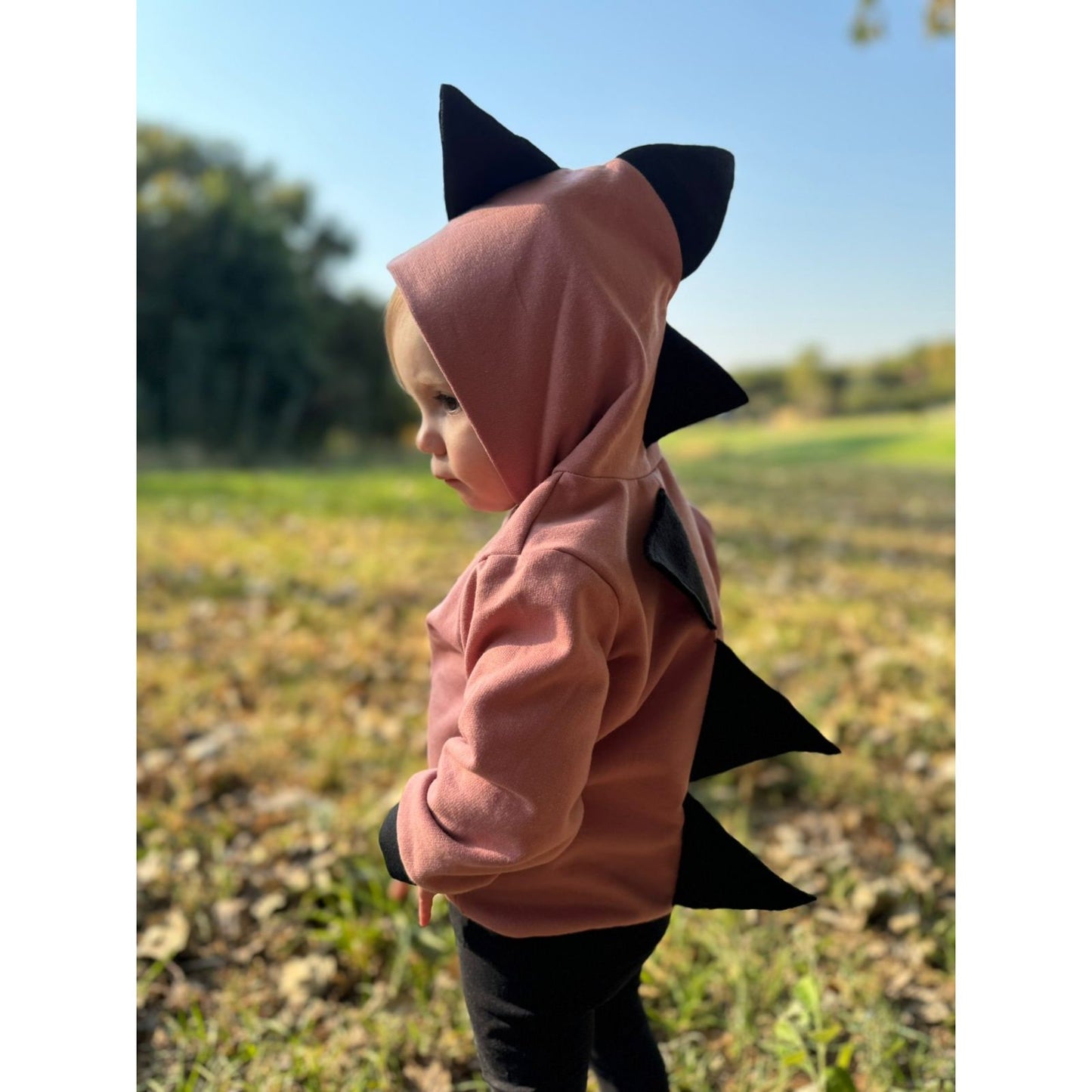 MonkeyBum Dino Hoodies 6m to 6 years Pink Girl