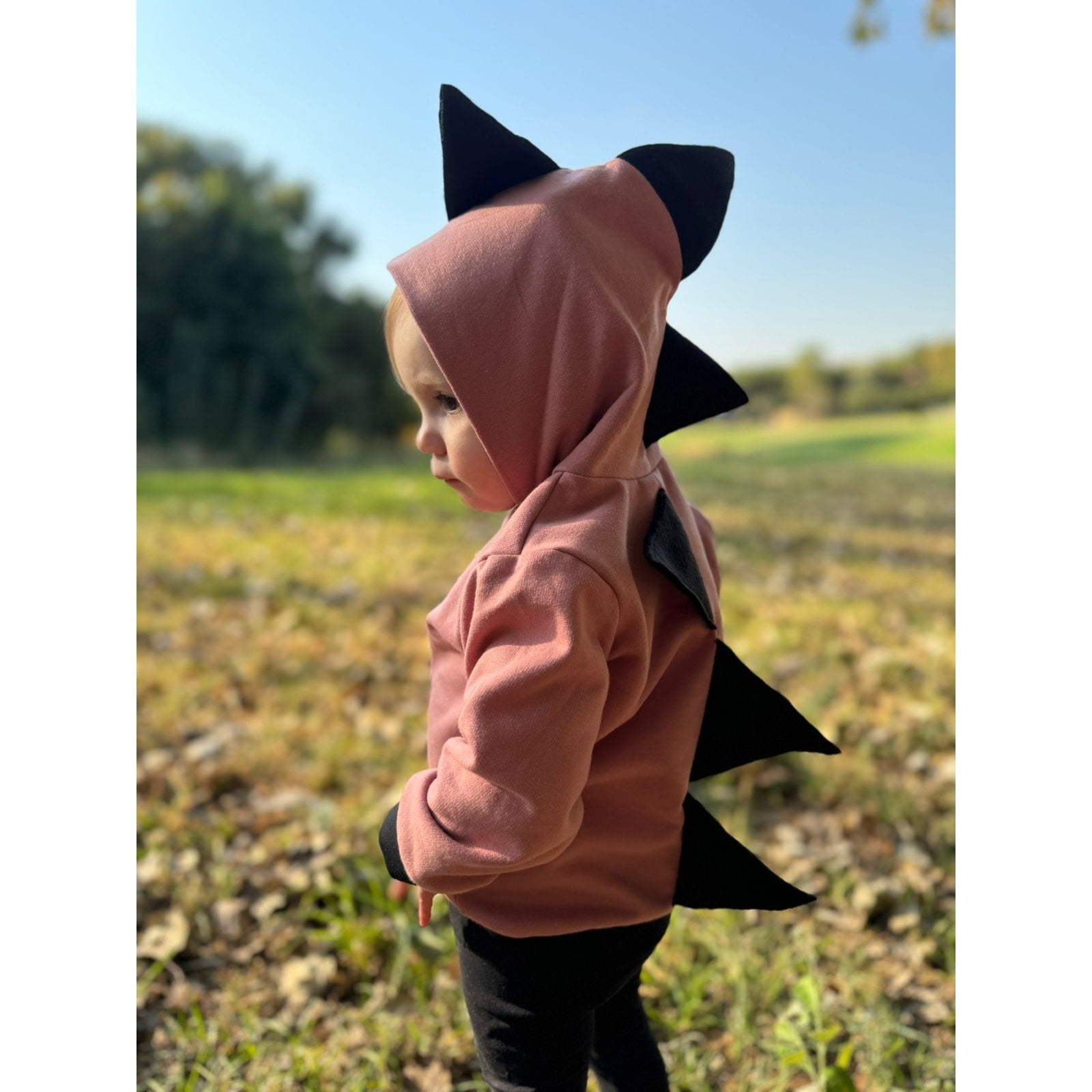 MonkeyBum Dino Hoodies 6m to 6 years Pink Girl