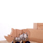 Rhino Push Toy